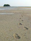 อุทยานแห่งชาติหาดนพรัตน์ธารา อ.เมือง จ.กระบี่ 